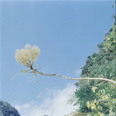 决战轩辕九游官方下载